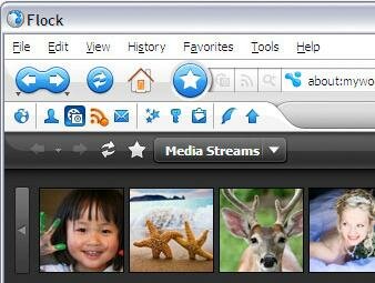 ="Flock